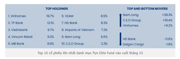 Quỹ “khùng” Pyn Elite Fund mua mạnh cổ phiếu ngân hàng