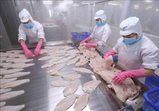 Năm 2023, lợi nhuận IDI giảm tới gần 85% 1 IDI