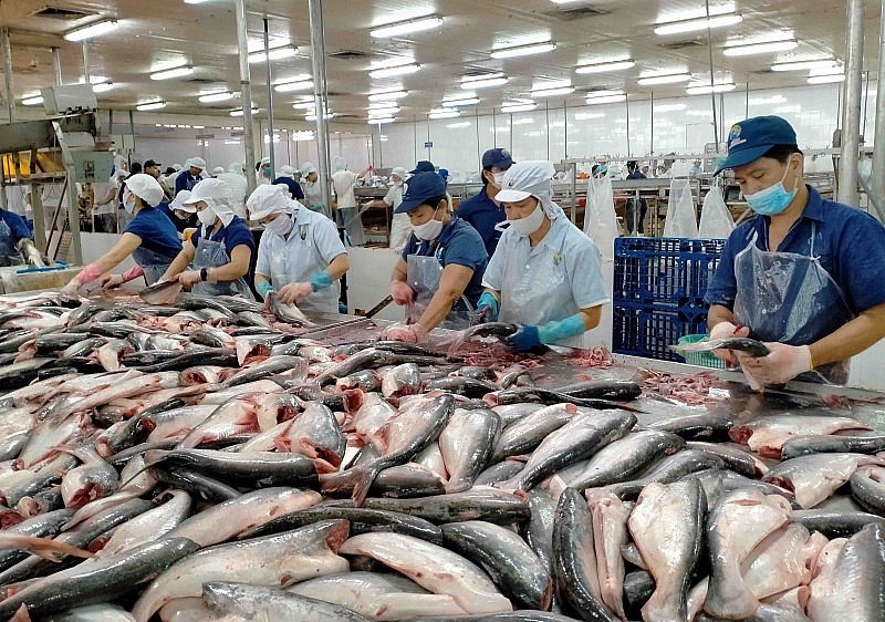 Kỳ vọng xuất khẩu thủy sản cán mốc 9,5 tỷ USD 3 chu tich vasep ky vong kim ngach xuat khau thuy san nam 2024 can moc 95 ty usd 65e6f7cd722de