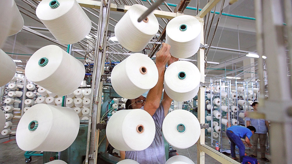 Dệt sợi Damsan (ADS) "cài số lùi" lợi nhuận năm 2024 1 det soi damsan ads cai so lui loi nhuan nam 2024 65ef25e824ca9