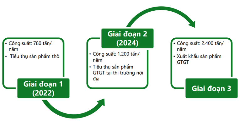 giai doan navico 102