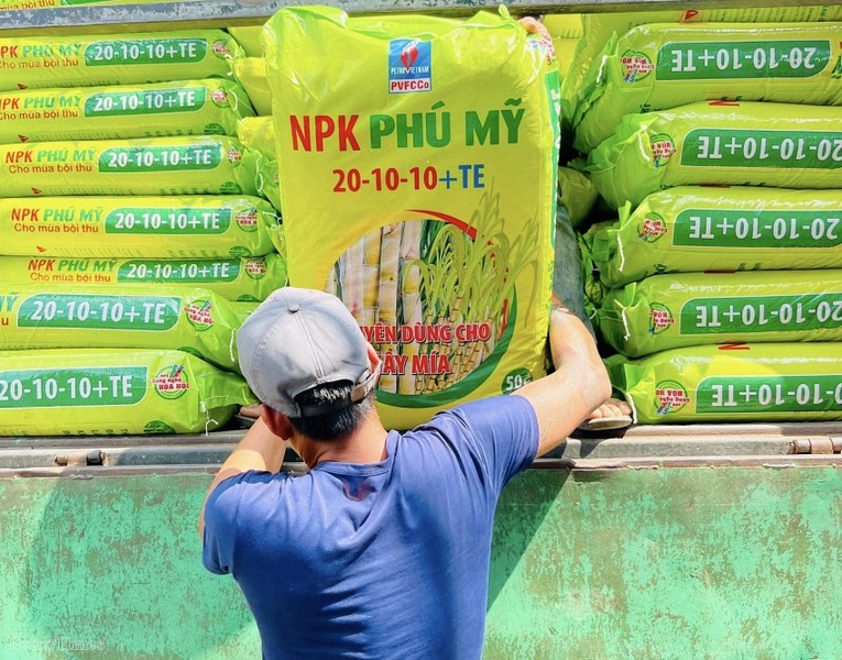 NPK Phú Mỹ góp phần cho một mùa mía ngọt bội thu 2 nhung lo san pham npk phu my 20 10 10te chuyen dung cho cay mia dau tien duoc chuyen den ba con trong mia tai khanh hoa 5597