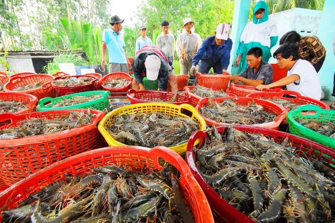 Chủ động kịch bản bị áp thuế và đối sách ứng phó