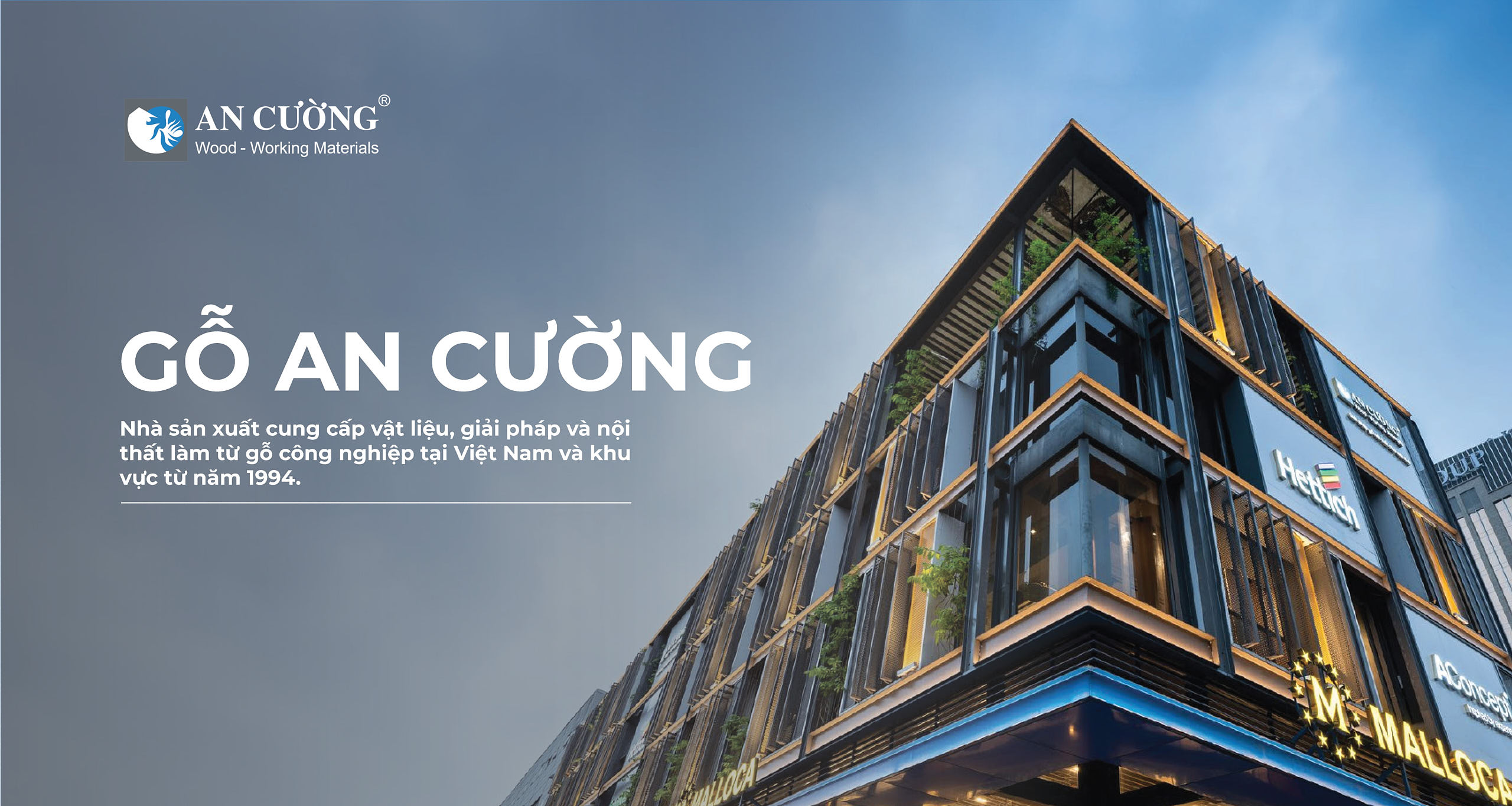 Gỗ An Cường mất một chân 3 1 1