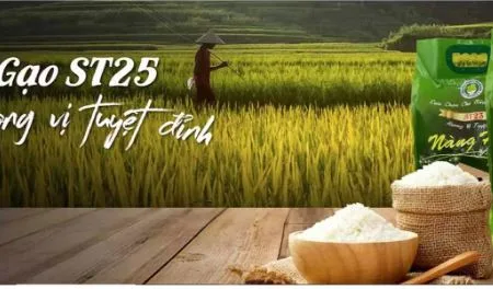 Nghịch lý với doanh nghiệp xuất khẩu gạo