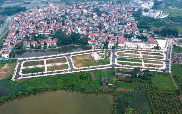đấu giá đất đai