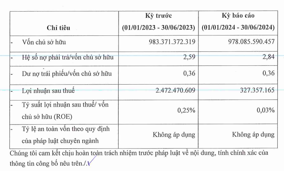 "Con đẻ" của Shark Hồng Anh lao dốc 88% lợi nhuận 2 Các chỉ tiêu tài chính của DHA Corp