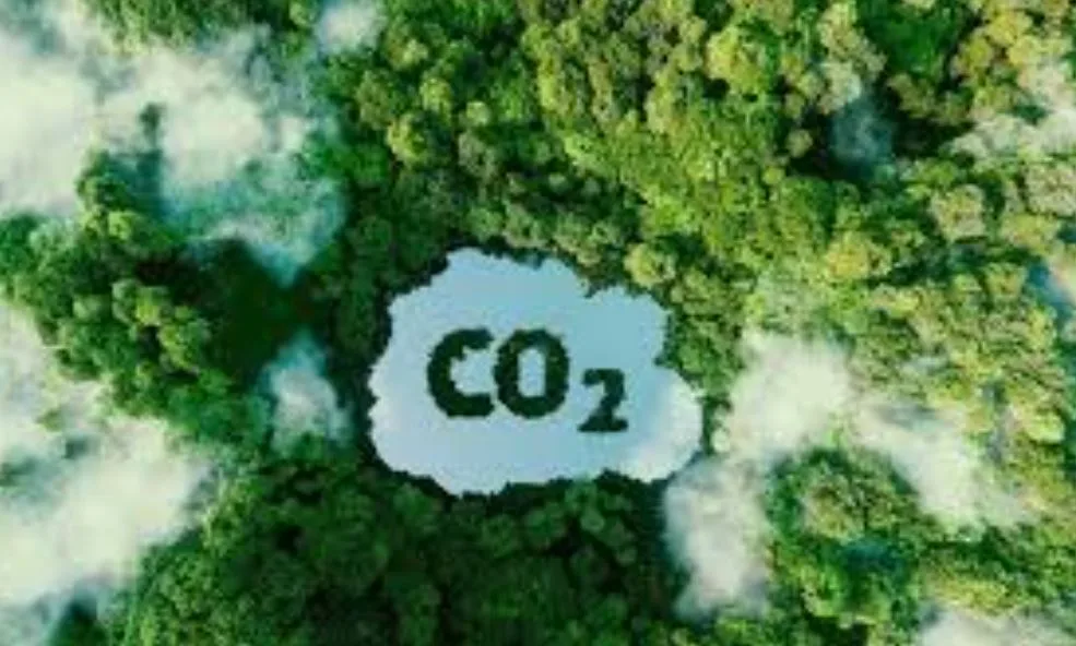 Tạo dòng tài chính mới từ thị trường carbon 1 Tạo dòng tài chính từ thị trường carbon.