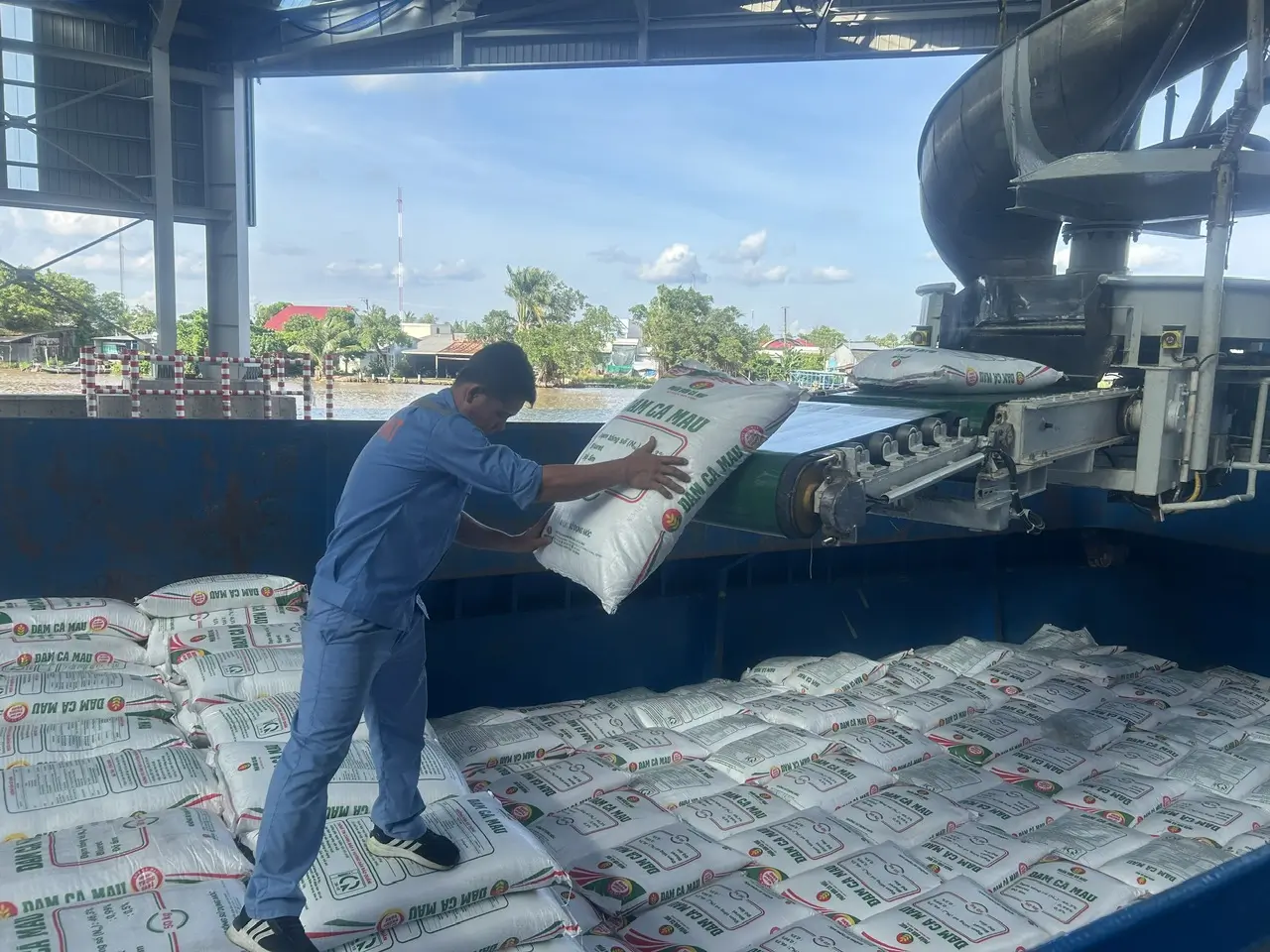 Phân bón Cà Mau lãi tốt quý I