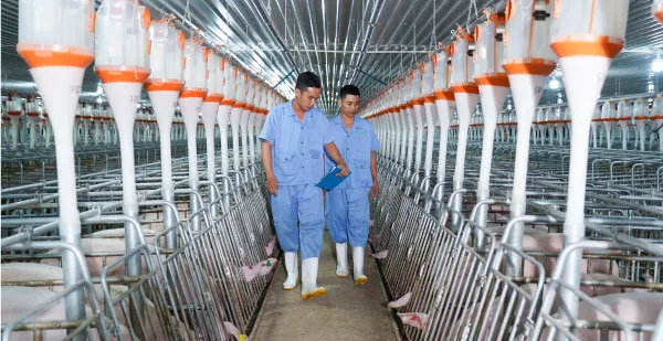 BAF bán gần toàn bộ cổ phiếu sau nhịp tăng