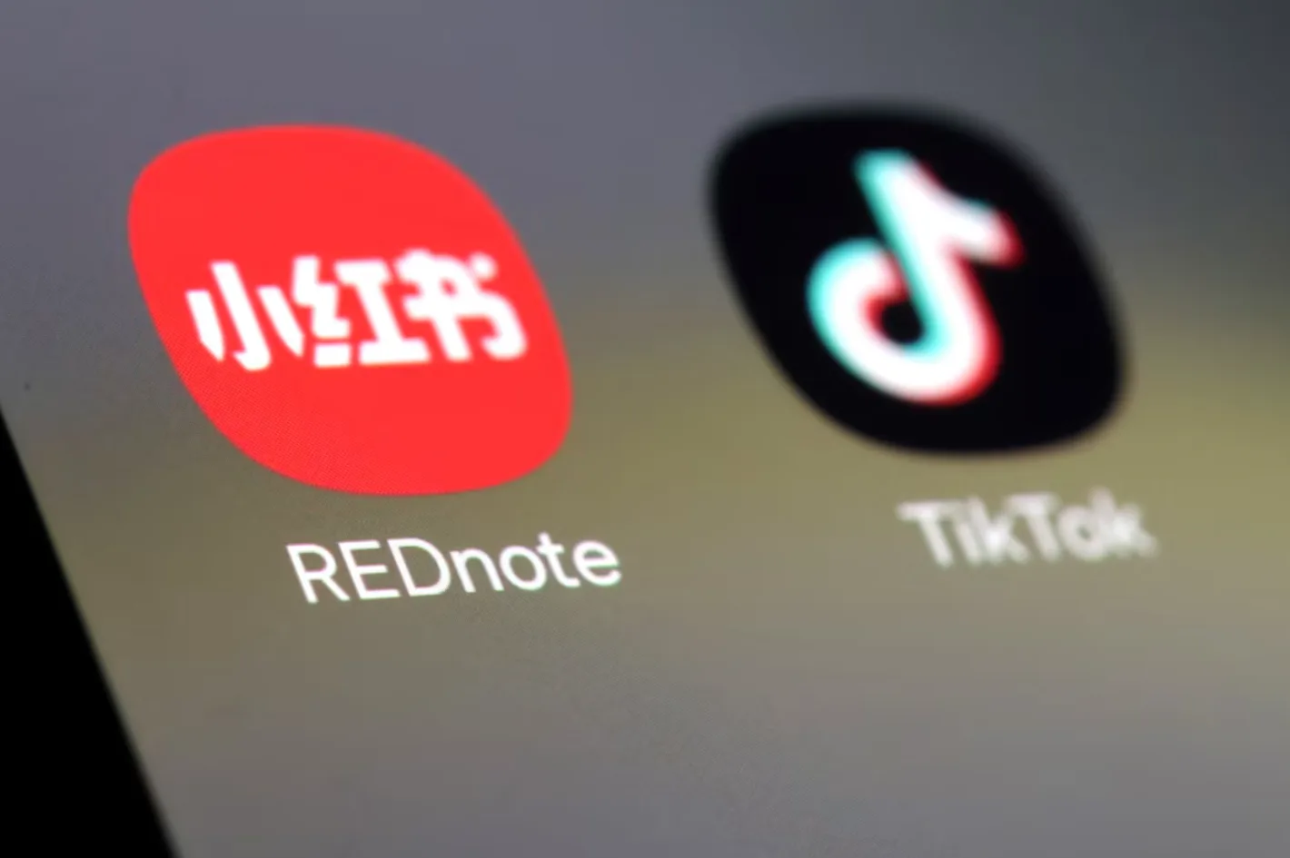 TikTok bị cấm, RedNote lên ngôi? 1 TikTok bị cấm, RedNote lên ngôi?