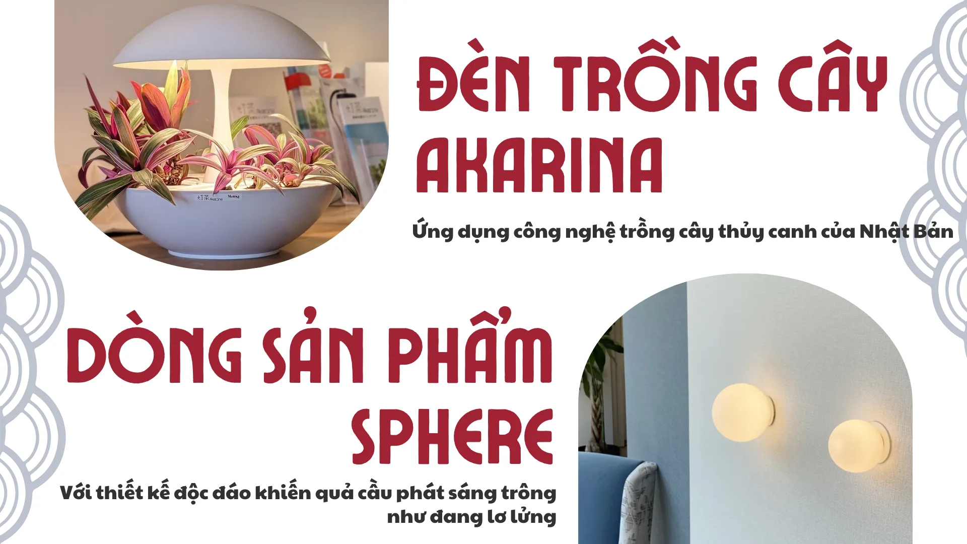 Olympia Lighting: Hành trình trở thành một phần Việt Nam 3 8 1 png