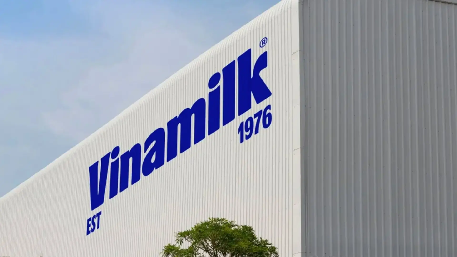 Vinamilk chi hơn 9.000 tỷ đồng trả cổ tức cho cổ đông 1 Vinamilk chi hơn 9.000 tỷ trả cổ tức cho cổ đông (Ảnh: Vinamilk)