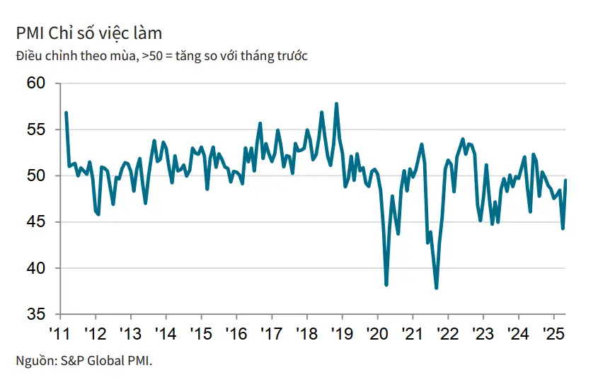 PMI ngành sản xuất Việt Nam tháng 5: Tín hiệu phục hồi nhẹ giữa áp lực từ thuế quan Mỹ 3 pmi chi so viec lam