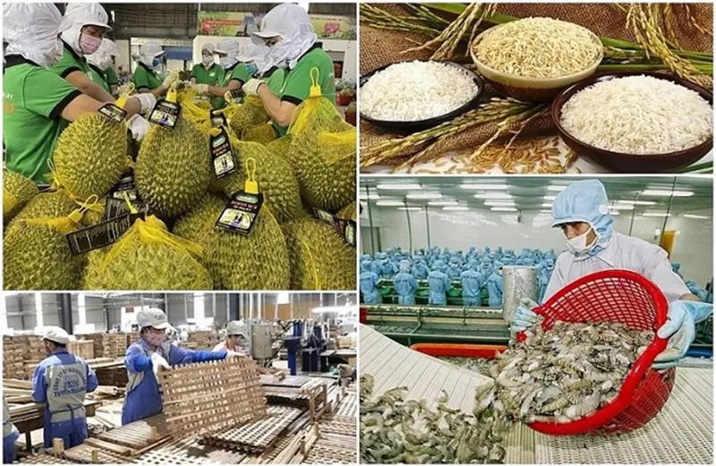 Xuất khẩu nông lâm thủy sản đạt 33,84 tỷ USD, tăng 15,5% trong 6 tháng đầu năm 2025.