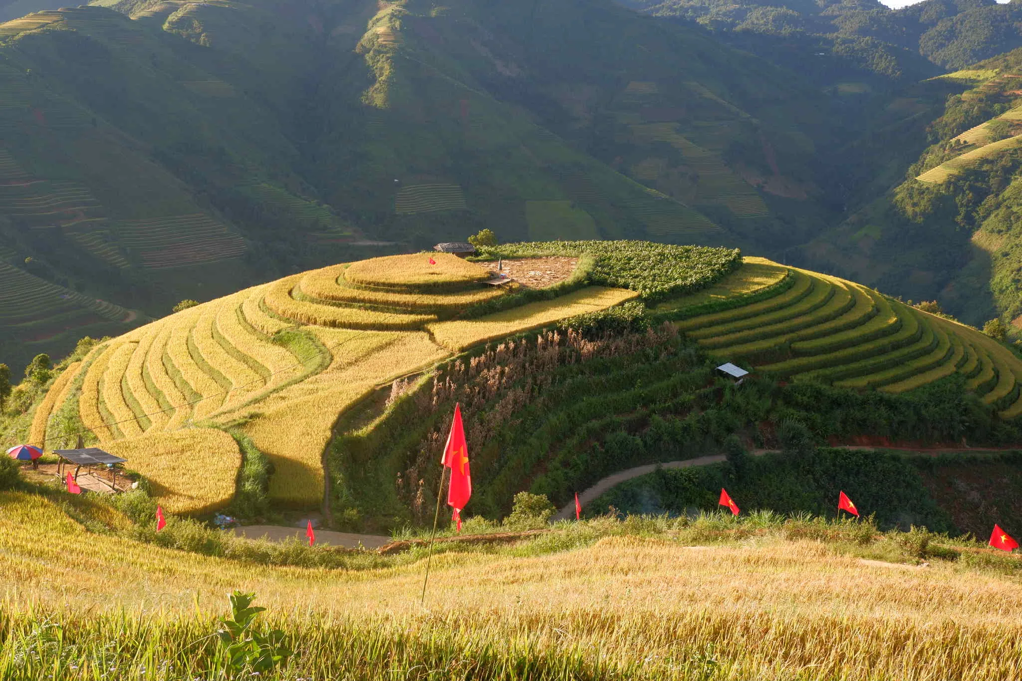 Nông nghiệp