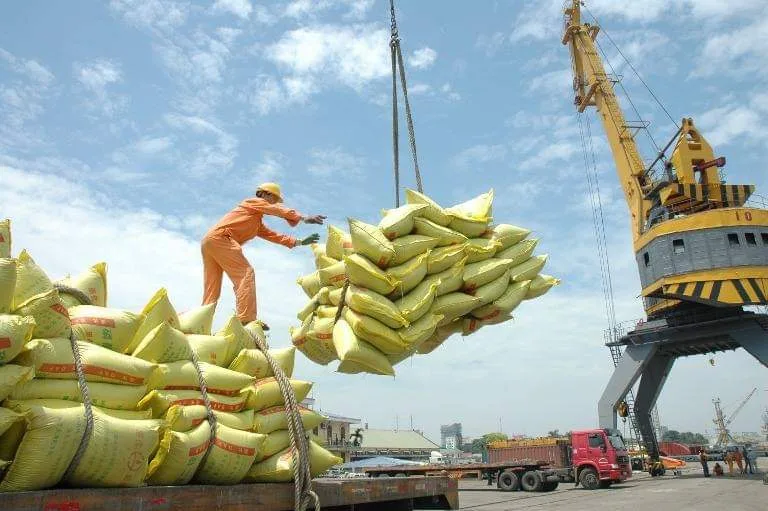 Xuất khẩu cà phê Việt Nam bùng nổ, tiến sát mốc 7 tỷ USD 3 xuat-khau-ca-phe-viet-nam-bung-no-2