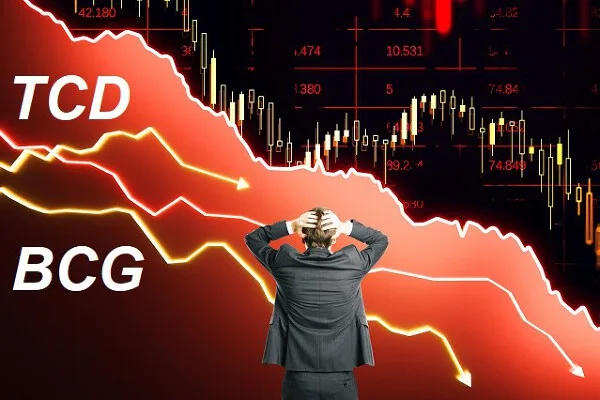 BCG và TCD