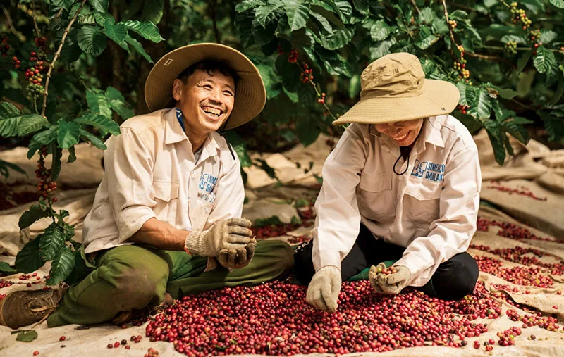 Xuất khẩu cà phê Việt Nam bùng nổ, tiến sát mốc 7 tỷ USD 1 xuat-khau-ca-phe-viet-nam-bung-no