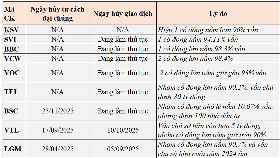 Làn sóng IPO và sự đối lập với xu hướng rời sàn 1 20251127 Chuadaichung 90