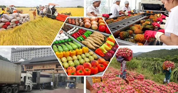 Cải cách thuế GTGT, khai thông vốn cho nông nghiệp 1 ghepqhf lflq 3200 1730360684826576955691 17467281937081963380574 0 85 675 1165 crop 17467282350381200944297
