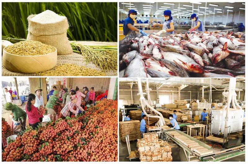 Toàn ngành nông nghiệp Việt Nam xuất khẩu đạt trên 64 tỷ USD 1 Toàn ngành nông nghiệp Việt Nam xuất khẩu đạt trên 64 tỷ USD