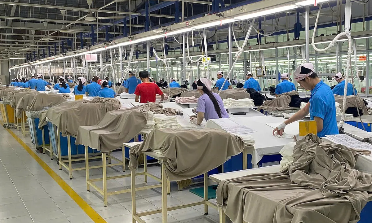 Hơn 2.600 lao động Panko Vina mất việc và lộ trình hỗ trợ mới 1 Hơn 2.600 lao động Panko Vina mất việc và lộ trình hỗ trợ mới
