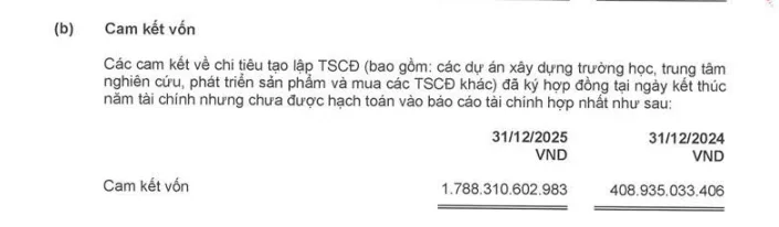 CEO FPT nhận lương gần 4,5 tỷ đồng chưa kể cổ phiếu ESOP 7 Anh chup man hinh 2026 03 28 214650