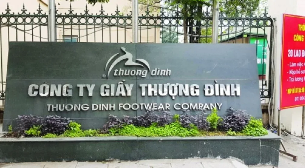 Giày Thượng Đình: Cổ phiếu được gom số lượng lớn trong khi kinh doanh bết bát 1 Giầy Thượng Đình