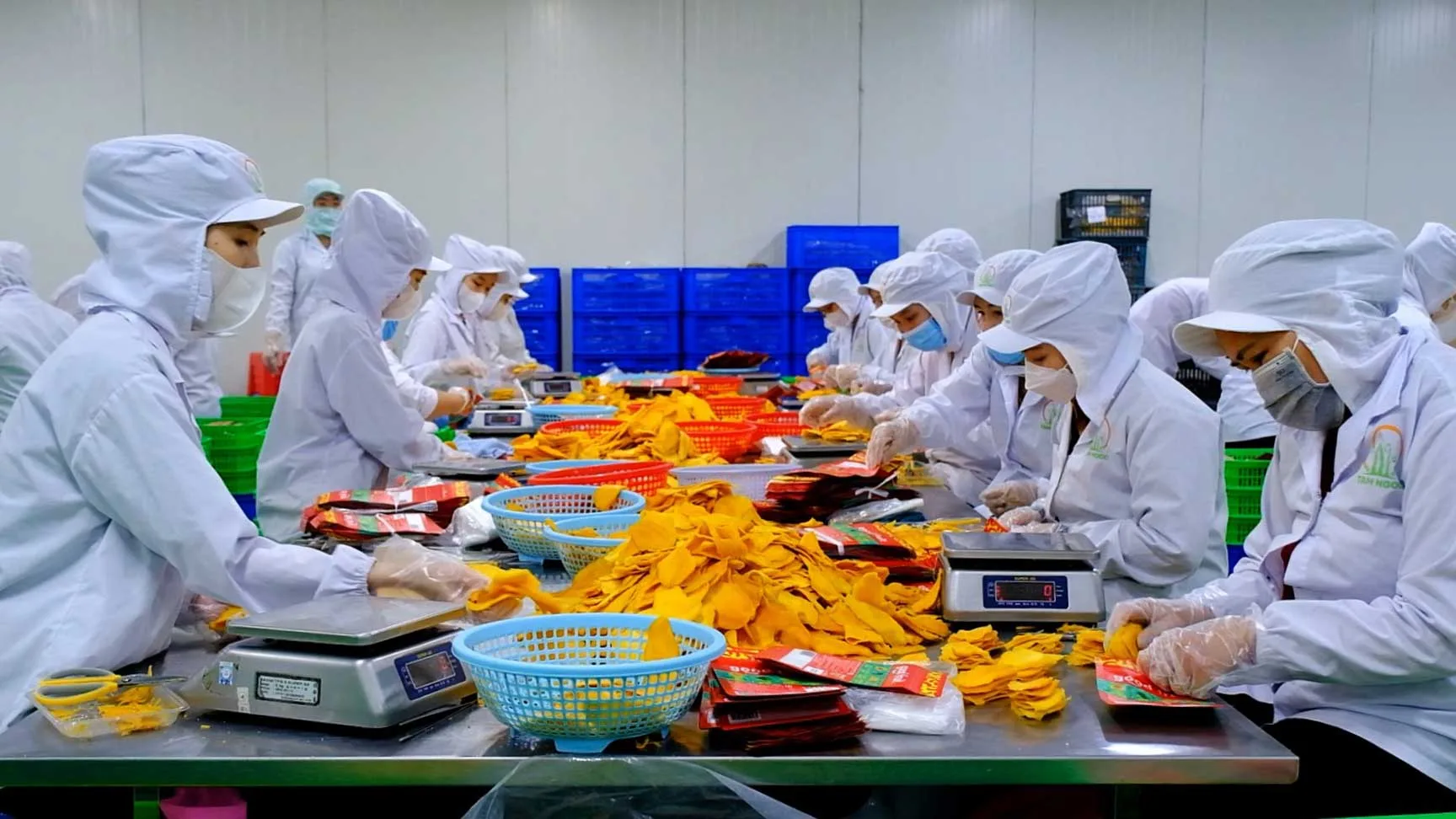 Chặng nước rút 100 tỷ USD xuất khẩu nông sản: Cởi trói dòng vốn và định hình lại chuỗi giá trị