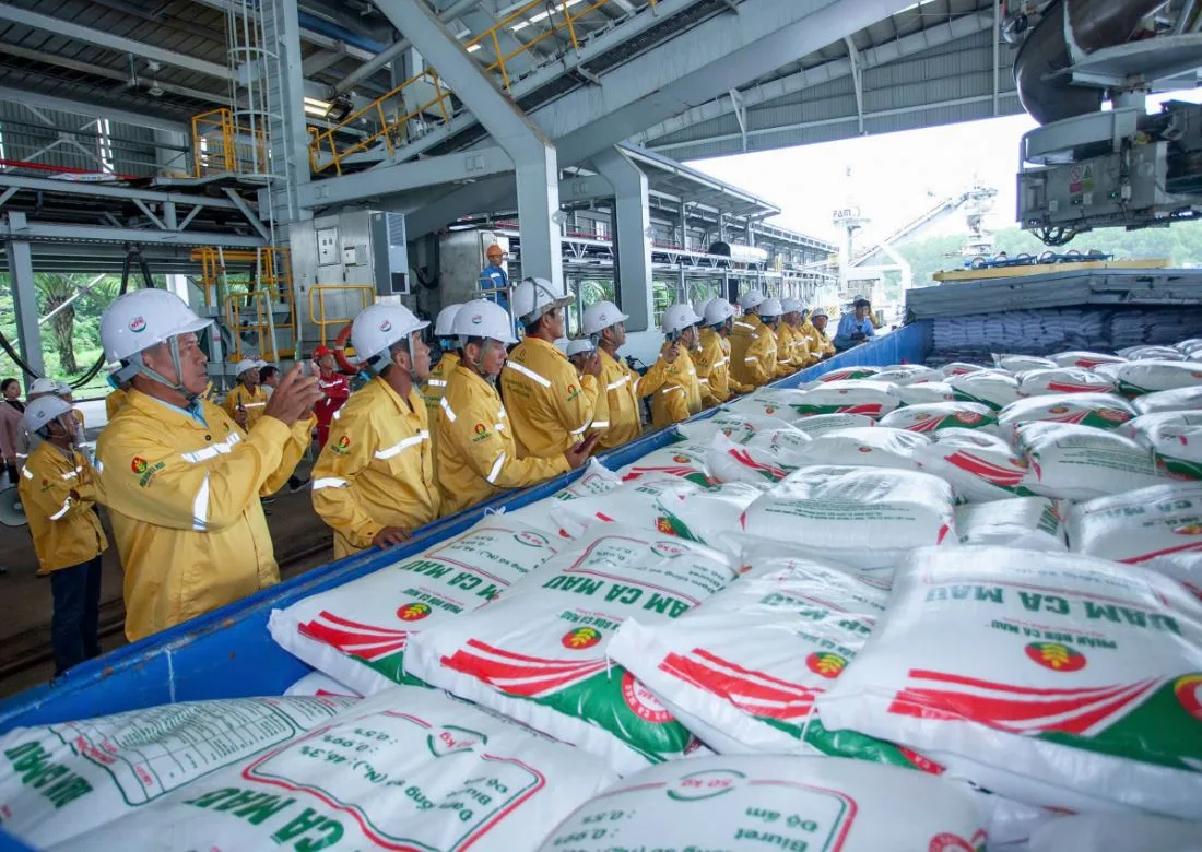 DCM: Động lực từ xuất khẩu 1 DCM