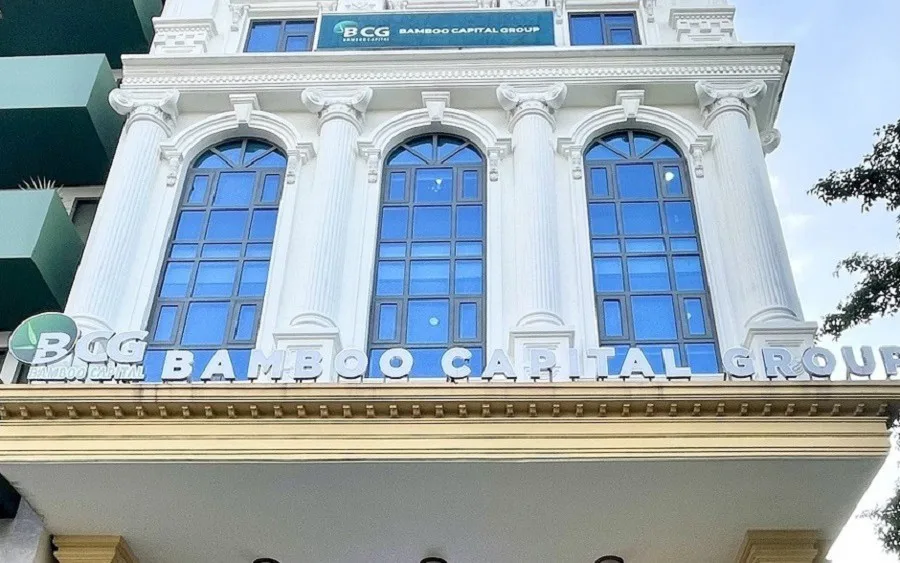 Bamboo Capital và ván cược tái sinh sau cú sốc rời sàn 1 bamboo capital