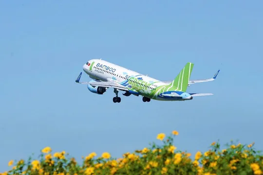 Bamboo Airways đổi Chủ tịch HĐQT giữa áp lực siết nợ nghìn tỷ từ Sacombank 1 Bamboo Airways